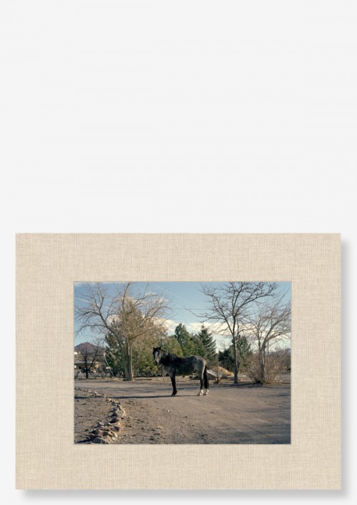 Viviane Sassen – Etan & Me – Limited Edition — oodee — Photography