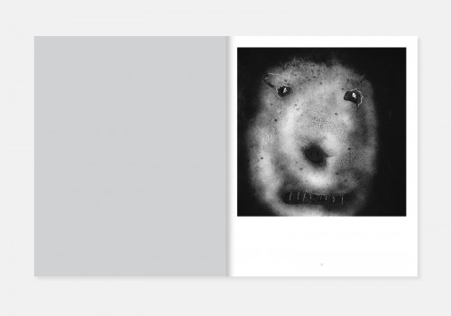 Roger Ballen & Didi Bozzini – The House project — oodee