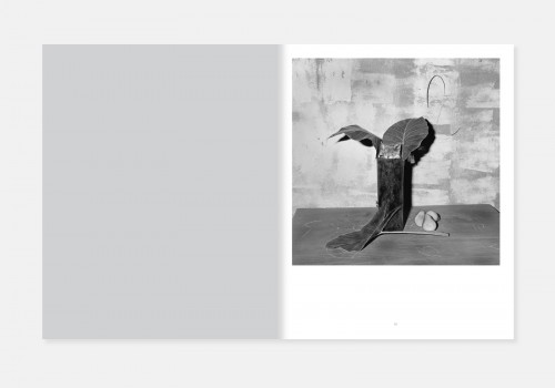Roger Ballen & Didi Bozzini – The House project — oodee