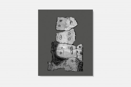 Roger Ballen & Didi Bozzini – The House project — oodee