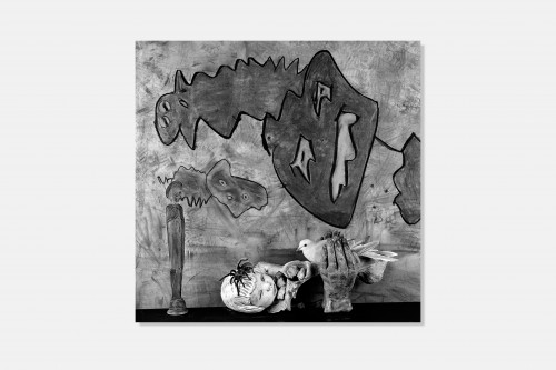 Roger Ballen & Didi Bozzini – The House project – Limited Edition
